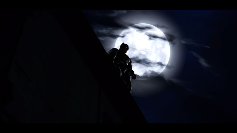 Batman et Catwoman : la rencontre