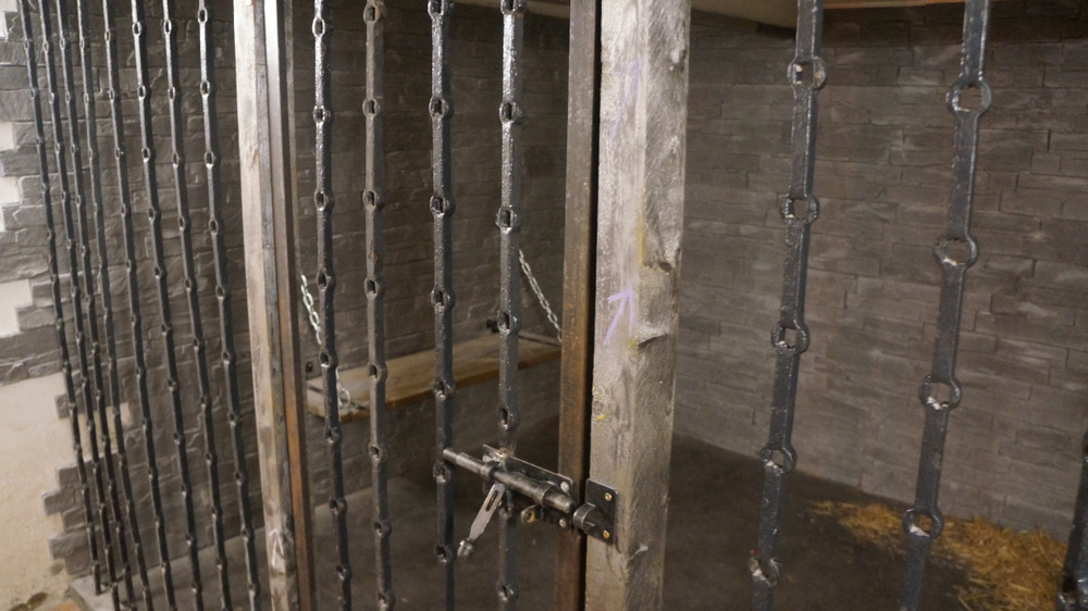 Enigma Escape : Le cachot de Duchenot