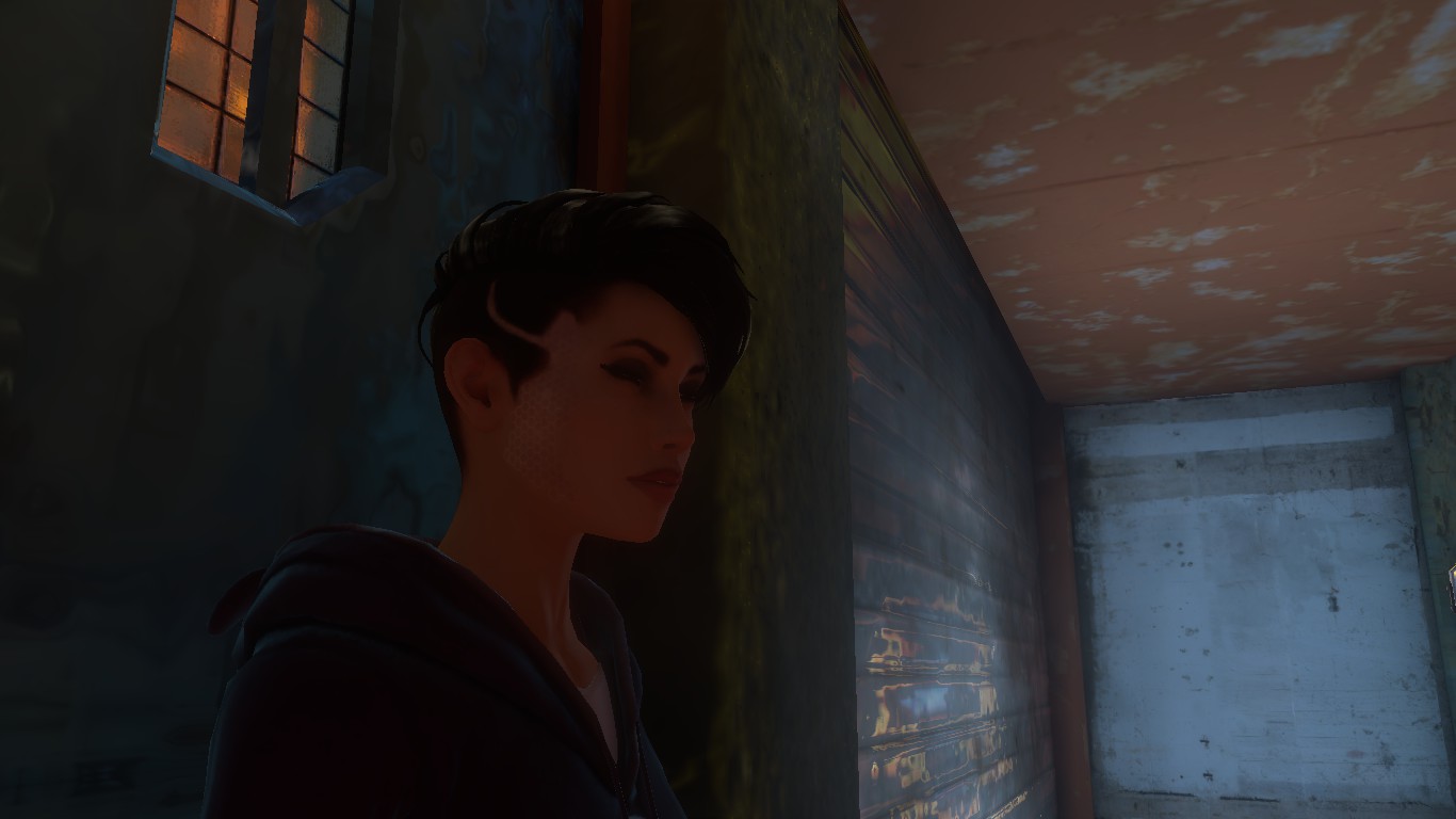 Zoé dreamfall chapters Book 3