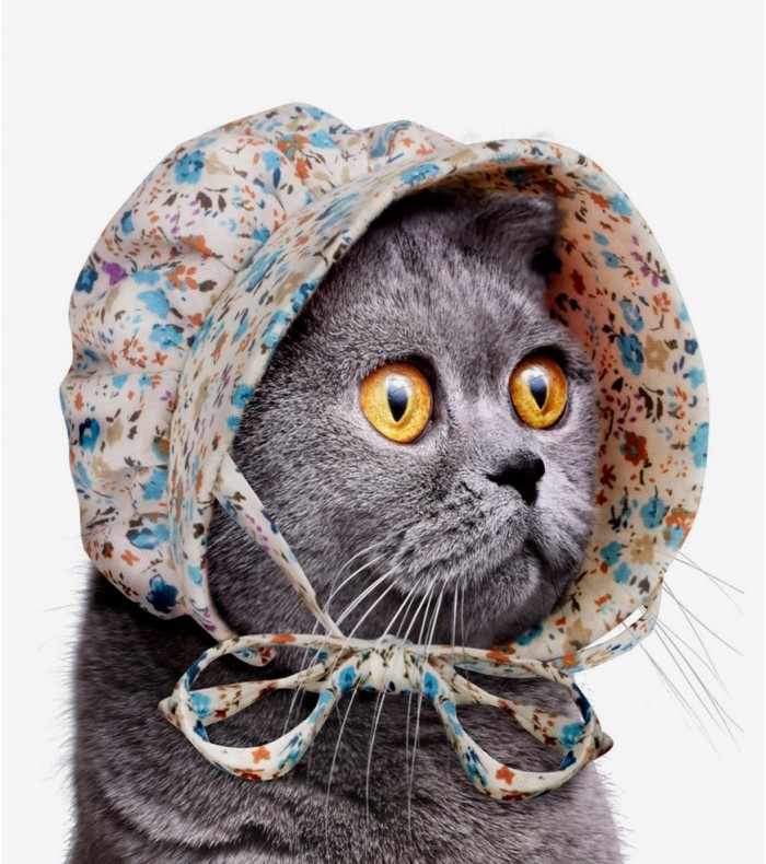 Bonnet pour chat - Wishlist geekmick